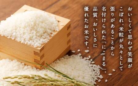 【令和5年産】球磨にこまる 5kg×2袋 精米 10kg