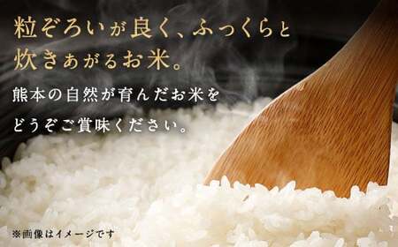 【令和5年産】球磨にこまる 5kg×2袋 精米 10kg