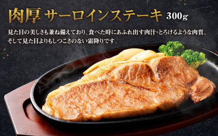 くまもと黒毛和牛 杉本本店 黒樺牛 A4~A5等級 肉厚サーロインステーキ 300g