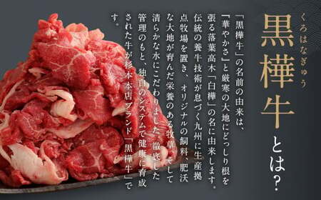 熊本県産 黒樺牛 切り落とし 500g + 樺姫牛 切り落とし 500g 食べ比べ 計1kg