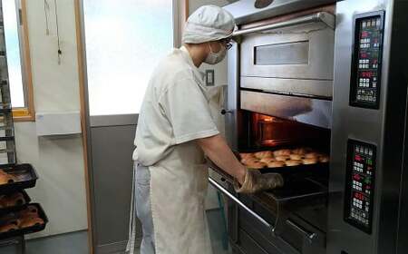 【6ヶ月定期便】訳あり お試し パン セット 17~18個