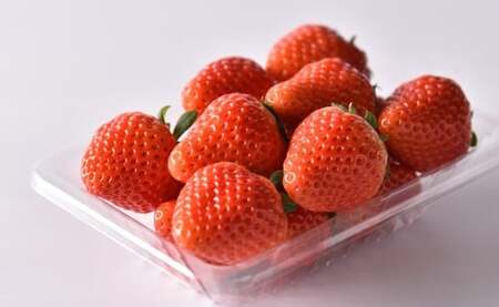 【2025年1月発送】「ゆうべに」250g×4パック いちご イチゴ 苺 フルーツ 果物