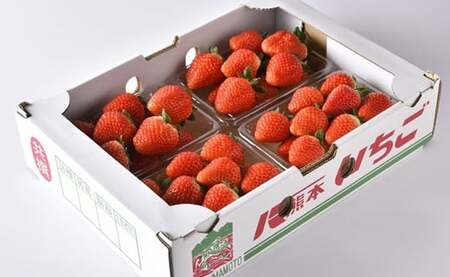 【2026年3月発送】「ゆうべに」250g×4パック いちご イチゴ 苺 フルーツ 果物