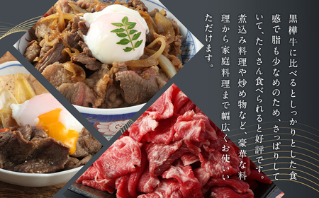 黒樺牛 切り落とし 500g + 樺姫牛 切り落とし 500g 食べ比べ 計1kg くろはなうし はなひめうし 牛肉 牛 肉 和牛