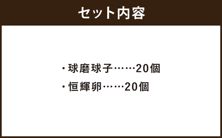 「球磨球子」「恒輝卵」各20個　計40個の食べ比べ 2種 くまたまご こうきらん 卵 たまご 玉子 お取り寄せ