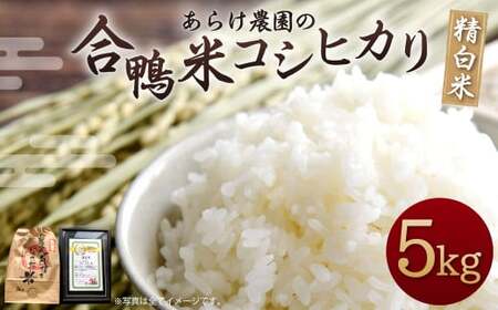 【令和6年産】あらけ農園の合鴨米 コシヒカリ 精白米 5kg 【2024年9月下旬～2025年9月下旬発送予定】 お米 米 白米 精米 ご飯 ごはん