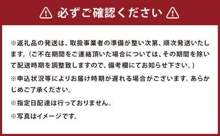 ご当地グルメ! 馬刺し燻製2種と馬スジ・あか牛カレーのセット 4種 全6袋セット カレー ご当地カレー