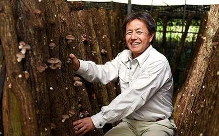 家庭用 原木栽培椎茸 どんこお試し品 90g