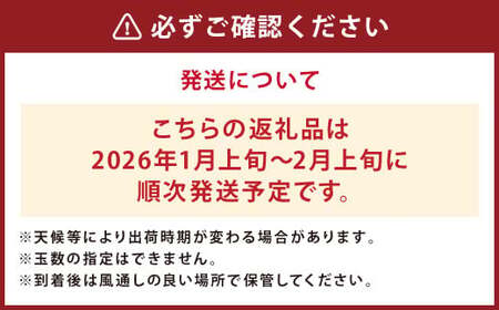 人吉産 不知火（しらぬい）3kg フルーツ 果物 くだもの 柑橘 デコポン でこぽん お取り寄せ【2026年1月上旬～2月上旬発送予定】