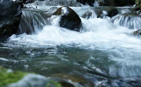 米焼酎 「百」 500ml×1本 23度 お酒 焼酎 酒 アルコール お取り寄せ 贈答用 ギフト【2025年2月上旬～順次発送予定】