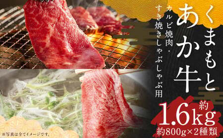 くまもとあか牛 カルビ焼肉用 約800g・すきやきしゃぶしゃぶ用 約800g 合計約1.6kg 国産牛 牛 牛肉 肉 和牛 赤牛 焼肉 カルビ すき焼き 熊本県 人吉市