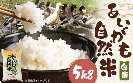 【令和7年産】栽培期間中農薬・化学肥料不使用の合鴨米（白米）「あいがも自然米」5kg 米 お米 こめ 合鴨米 白米 ご飯 精米 熊本 熊本県 人吉 九州 国産 常温 【2025年11月下旬～2026年10月下旬迄発送予定】