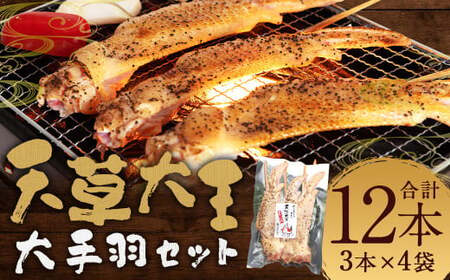 熊本 天草大王 大手羽12本（3本×4） 手羽 鶏肉 肉 鶏 地鶏 バーベキュー 串 国産 冷凍 熊本県 人吉市