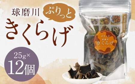 新発売！人吉球磨産の『ぷりっと球磨川きくらげ』25g×12ヶセット きくらげ キクラゲ 木耳 乾燥きくらげ 国産