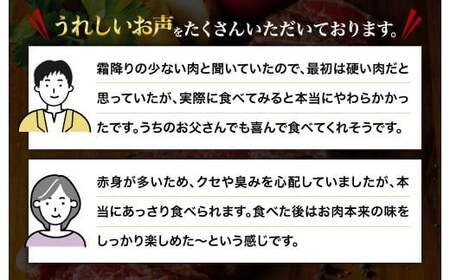 熊本県産 あか牛 モモステーキ 1kg (250g×4パック) 
