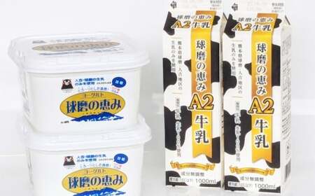 球磨の恵み 「A2牛乳とヨーグルト（加糖）」のセット 牛乳1000ml×2パック ヨーグルト1kg×2パック ／ 生乳 牛乳 ミルク ヨーグルト 乳製品 飲料 飲み物 飲みもの のみもの ドリンク おやつ デザート 国産