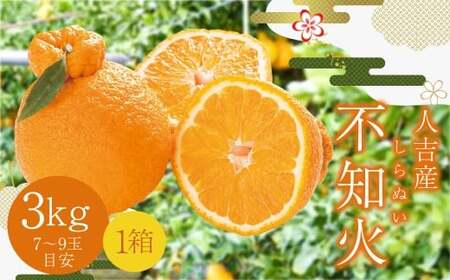 【先行予約】人吉産 不知火 （しらぬい） 3kg フルーツ 果物 くだもの 柑橘 デコポン でこぽん お取り寄せ【2026年12月下旬より順次発送予定】