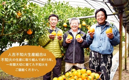 【先行予約】人吉産 不知火 （しらぬい） 3kg フルーツ 果物 くだもの 柑橘 デコポン でこぽん お取り寄せ【2026年12月下旬より順次発送予定】