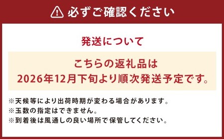 【先行予約】人吉産 不知火 （しらぬい） 3kg フルーツ 果物 くだもの 柑橘 デコポン でこぽん お取り寄せ【2026年12月下旬より順次発送予定】