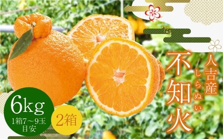 【先行予約】 人吉産 不知火 （しらぬい） 6kg フルーツ 果物 くだもの 柑橘 デコポン でこぽん お取り寄せ【2026年12月下旬より順次発送予定】