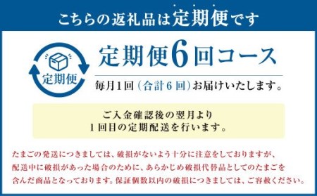 【定期便年6回】 球磨球子 60個入 鶏卵 卵 玉子 たまご くまたまご（破損保証有り）