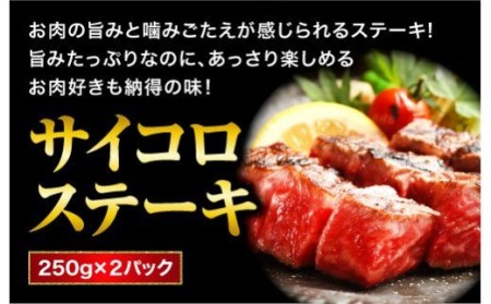 熊本県産 あか牛 を堪能！ サイコロステーキ と ハンバーグ を楽しむセット 合計1,250g