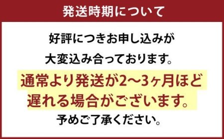 球磨川小刀 フルタングナイフ