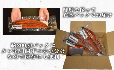特上うなぎ 600g(200g×3尾) タレ付き うなぎ 鰻