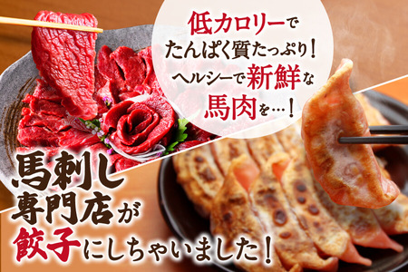 熊本 馬刺し 専門店のさくら馬肉 餃子 80個 国産 冷凍