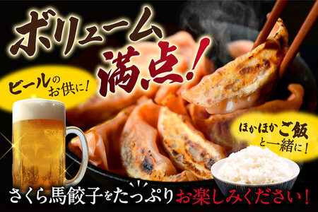 熊本 馬刺し 専門店のさくら馬肉 餃子 80個 国産 冷凍