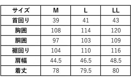 半袖ボタンダウン2枚LLサイズセット HITOYOSHI シャツ