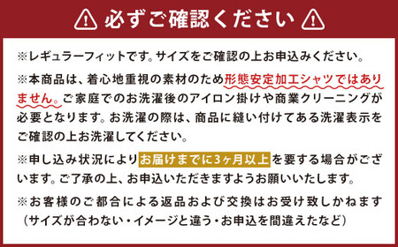 ふるさと納税限定 HITOYOSHI シャツ ツイル 2枚 セット セミワイド (41