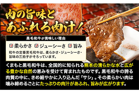 くまもと黒毛和牛 サーロイン リブロース 内モモ 希少部位 500g 牛肉 焼肉用 冷凍 《90日以内に出荷予定(土日祝除く)》 くまもと黒毛和牛 黒毛和牛 焼肉 肉 お肉 熊本県 荒尾市