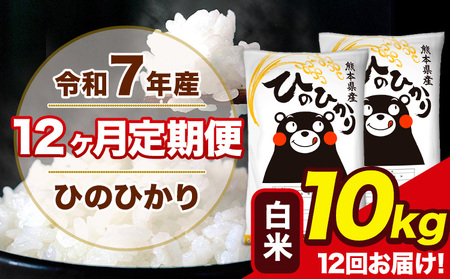 令和7年産  【12ヶ月定期便】 ひのひかり 白米 10kg 5kg×2袋 計7回お届け 熊本県産 こめ コメ 無洗米 精米 荒尾市 ひの 米 定期 《お申込み翌月から出荷》 美味しい米 お米 熊本県産米 くまもと米