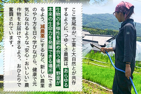 米 令和5年産 みなみにしき 白米 4kg 熊本県 荒尾市産 米 白米 つゆくさ農園 《30日以内に出荷予定(土日祝除く)》 米 こめ コメ 白米 米