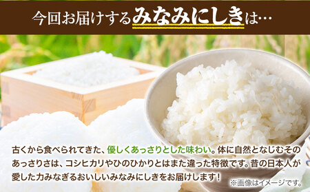 米 令和5年産 みなみにしき 無洗米 18kg 熊本県 荒尾市産 米 無洗米 つゆくさ農園 《30日以内に出荷予定(土日祝除く)》 米 こめ コメ 無洗米 米