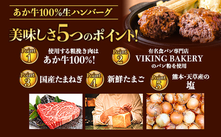ステーキマニア監修 熊本県産 あか牛 100% 生ハンバーグ 140g×39個入り 合計5460g 《2026年1月中旬-3月末頃出荷》 熊本県産あか牛 冷凍 ハンバーグ 美味しいハンバーグ ジューシーハンバーグ 冷凍ハンバーグ おかずハンバーグ