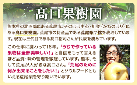 【2025年 先行予約】 梨 旬の梨 凜夏 和梨 約 3kg 秋 旬 熊本県 荒尾市産 髙口果樹園《2025年8月中旬-9月上旬頃出荷》フルーツ 果物 美味しい梨 旬の梨 ジューシー梨 フルーツ梨