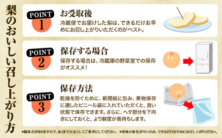 【2025年 先行予約】 梨 旬の梨 凜夏 和梨 約 3kg 秋 旬 熊本県 荒尾市産 髙口果樹園《2025年8月中旬-9月上旬頃出荷》フルーツ 果物 美味しい梨 旬の梨 ジューシー梨 フルーツ梨