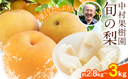 梨 旬の梨 約 2.8kg ～ 3kg 豊水 あきづき のいずれか 旬 中村果樹園 《8月下旬-9月中旬頃出荷》熊本県 荒尾市 なし フルーツ 果物 新鮮  美味しい梨 旬の梨 ジューシー梨 フルーツ梨