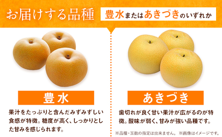 梨 旬の梨 約 2.8kg ～ 3kg 豊水 あきづき のいずれか 旬 中村果樹園 《8月下旬-9月中旬頃出荷》熊本県 荒尾市 なし フルーツ 果物 新鮮  美味しい梨 旬の梨 ジューシー梨 フルーツ梨