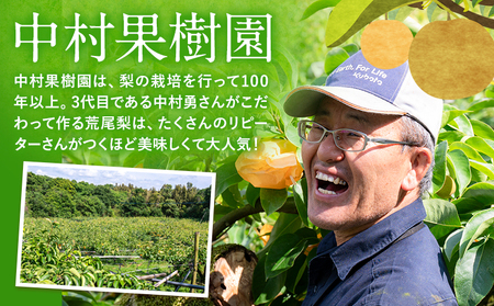 梨 旬の梨 約 2.8kg ～ 3kg 豊水 あきづき のいずれか 旬 中村果樹園 《8月下旬-9月中旬頃出荷》熊本県 荒尾市 なし フルーツ 果物 新鮮  美味しい梨 旬の梨 ジューシー梨 フルーツ梨