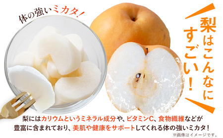 梨 旬の梨 約 2.8kg ～ 3kg 豊水 あきづき のいずれか 旬 中村果樹園 《8月下旬-9月中旬頃出荷》熊本県 荒尾市 なし フルーツ 果物 新鮮  美味しい梨 旬の梨 ジューシー梨 フルーツ梨