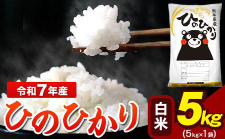 令和7年産   ひのひかり 白米 5kg   米 ブランド米 大容量《7-14日以内に出荷予定(土日祝除く)》