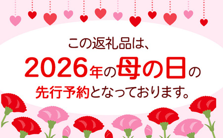 花 母の日 マザーズデイ フラワーバスケット 1個 椿原園《2026年5月上旬-5月末頃出荷》