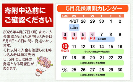 花 母の日 マザーズデイ フラワーバスケット 1個 椿原園《2026年5月上旬-5月末頃出荷》