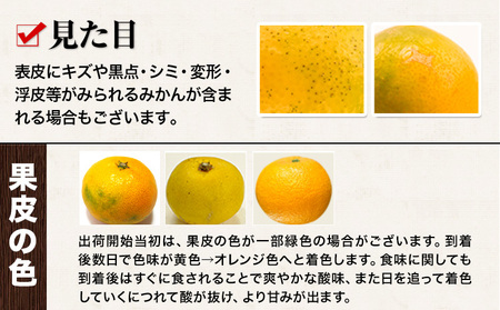 訳あり みかん ひとくちもぎたてみかん 約 3kg (3kg×1箱) S-3Sサイズ 訳あり ご家庭用 熊本県産 （荒尾市産含む） 期間限定 フルーツ 果物 旬 冬 柑橘 小玉 みかん《1月中旬-2月中旬頃出荷》 美味しいみかん 旬のみかん ジューシーみかん フルーツみかん