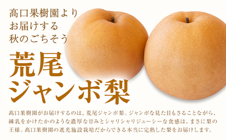 【2026年先行予約】 梨  荒尾ジャンボ梨（新高梨）2玉入り 約1.8kg前後 《2026年10月上旬-10月下旬頃出荷》髙口果樹園 梨