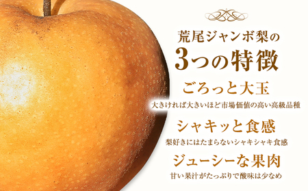 【2026年先行予約】 梨  荒尾ジャンボ梨（新高梨）2玉入り 約1.8kg前後 《2026年10月上旬-10月下旬頃出荷》髙口果樹園 梨