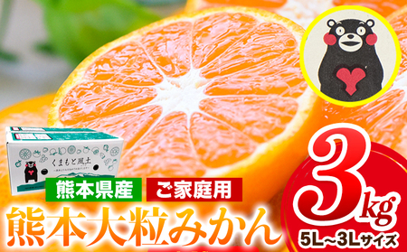 みかん 訳あり 大玉 大粒 ミカン 3kg 熊本 ちょっと 訳あり 傷 5L～3Lサイズ たっぷり 熊本県産(荒尾市産含む) 熊本県 期間限定 フルーツ 旬 柑橘 ご家庭用 荒尾市 大粒《2025年1月中旬-2月末頃より出荷予定》果物 美味しいみかん 旬のみかん ジューシーみかん フルーツみかん